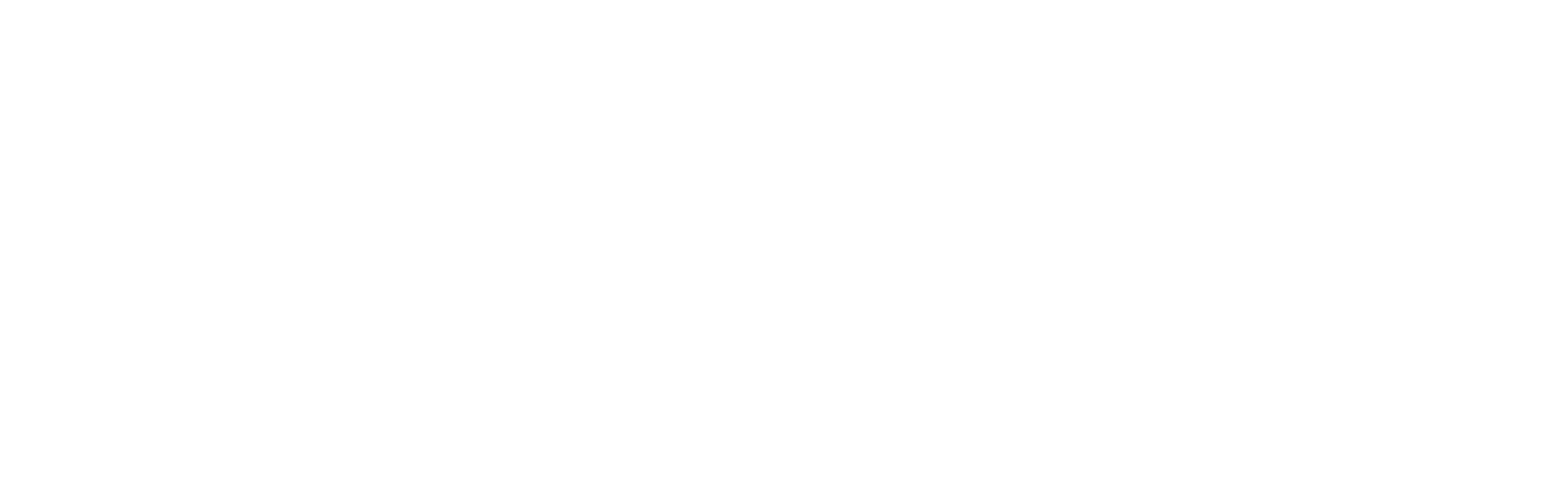 Logo_VIVO2.webp