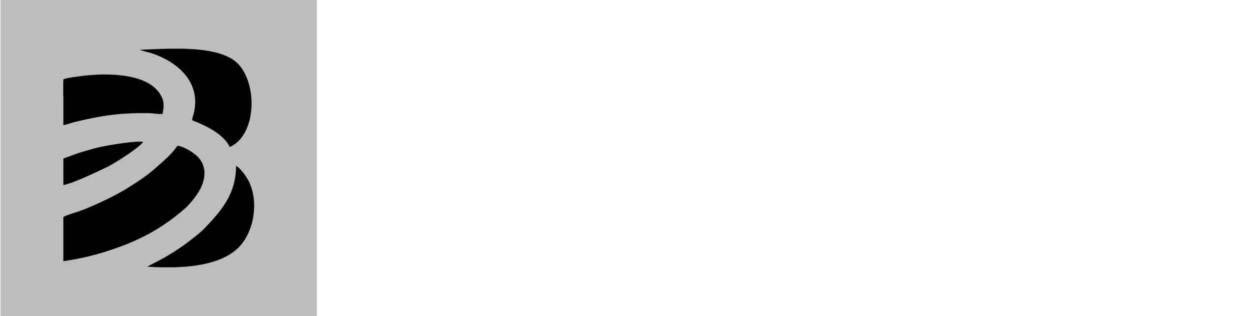 banpara-logo-copy-scaled.webp